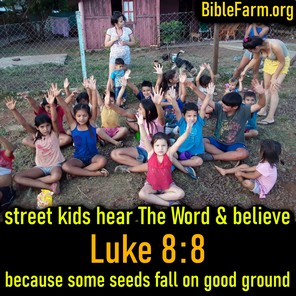 BibleFarm.org