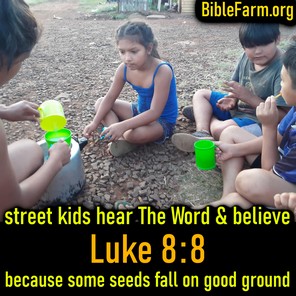 BibleFarm.org