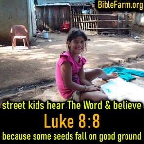 BibleFarm.org