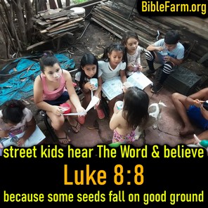 BibleFarm.org