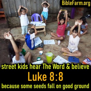 BibleFarm.org